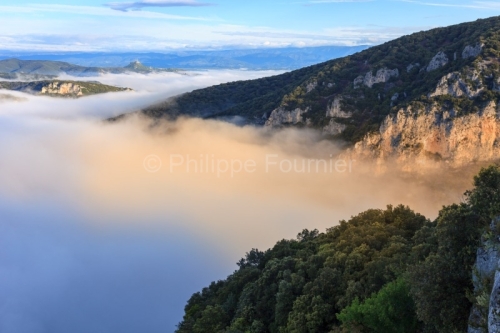 IMG_13059540_Ardeche (07) vallon pont d'arc reserve naturelle de