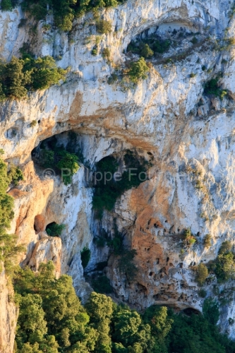 IMG_16064926_Ardèche (07) vallon pont d'arc réserve naturelle