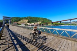 IMG_15045763_Ardeche (07) tournon sur rhone passerelle marc segu