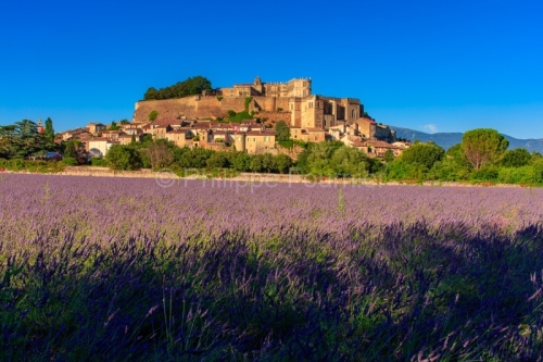 IMG_16075424_drôme (26) grignan plus beaux villages de france l