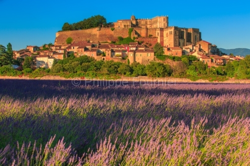 IMG_16075470_drome (26) grignan champ de lavandes, village, coll