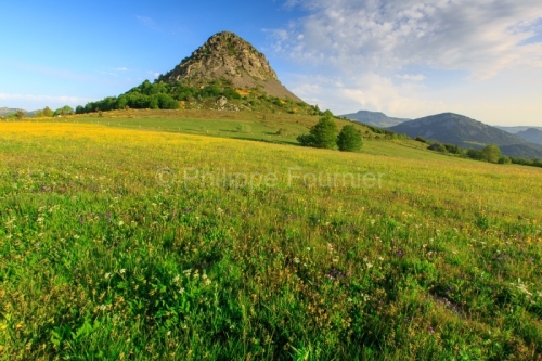 IMG_14064152_ARDECHE (07) SAINTE EULALIE (PARC NATUREL REGIONAL