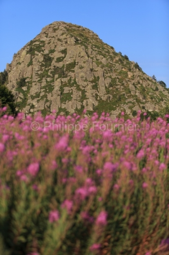IMG_15070911_Ardeche (07) sainte eulalie (parc naturel regional
