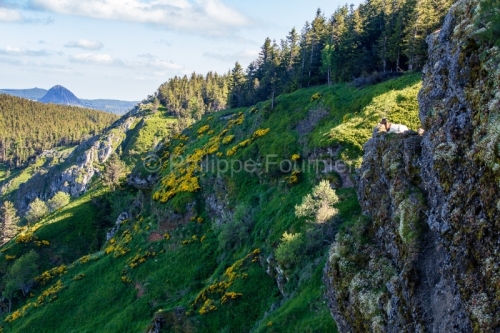 IMG_16064784_Chevre-Sauvage-Mont-Gerbier-de-Jonc-Roches-des-Cuzets-paysage-Boree-Ardeche