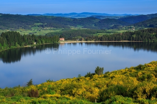 IMG_13062083_Ardèche (07) Issarles Parc Naturel Régional des M