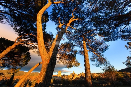 IMG_1112109_lourmarin_vue_sous_les_pins_parc_naturel_regional_de