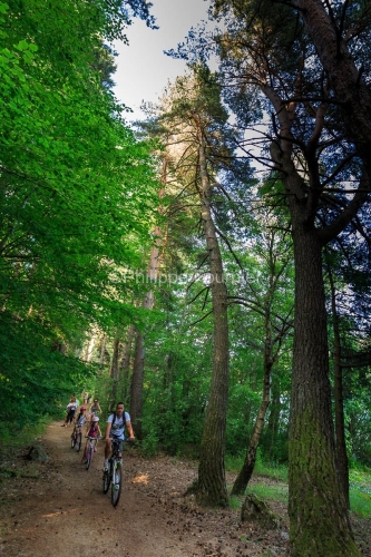 IMG_15070881_Famille- Foret- Lac-d'Issarles- VTT Sport-Loisirs I
