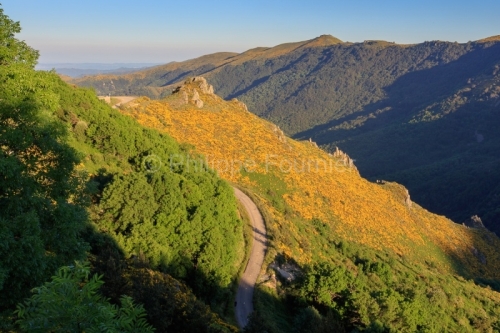 IMG_16064823_Ardèche (07) Montpezat Sous Bauzon Parc Naturel R
