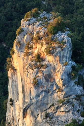 IMG_1210539_ARDECHE (07)  SAINT REMEZE RESERVE NATURELLE DES GOR
