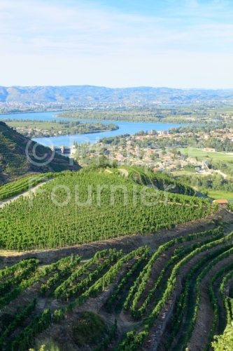 IMG_15084439_ARDECHE (07)  CHATEAUBOURG VINS DES CôTES DU RHôN