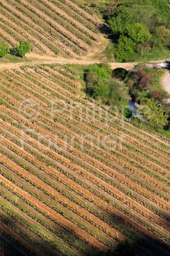 IMG_17041976_Vignoble_Paysage_Naves_Ardeche