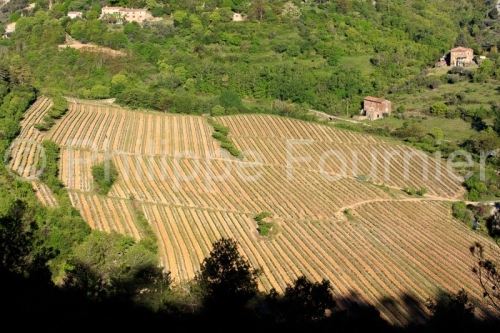 IMG_17041987_Vignoble_Paysage_Naves_Ardeche