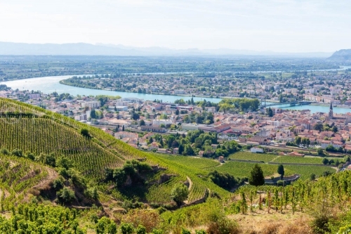 IMG_15084283_Vignoble-de-l'Hermitage_Paysage_Tain-l'Hermitage_Dr