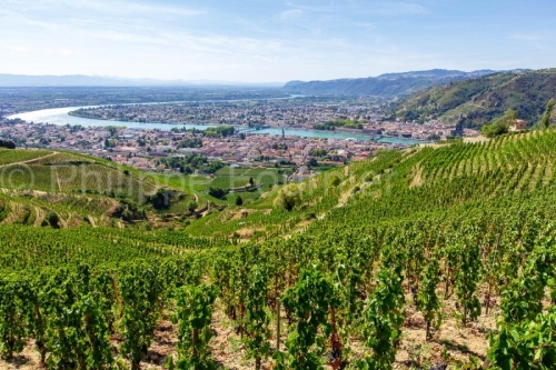 IMG_15084301_DROME (26)  TAIN L'HERMITAGE PAYSAGE VINS DES CôTE