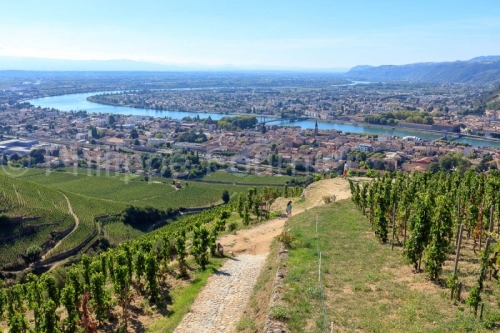 IMG_18093443_DROME (26)  TAIN L'HERMITAGE PAYSAGE VINS DES CôTE