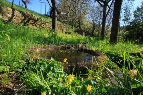 IMG_13046846_JARDIN_GES_GOURGUES_VILLAGE_D_AILHON_VILLAGE_DE_CAR