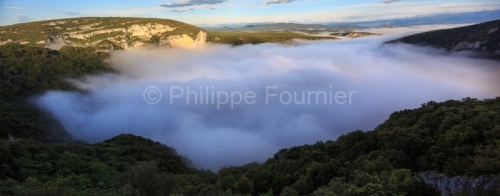 IMG_13059562_Ardeche (07) vallon pont d'arc reserve naturelle de