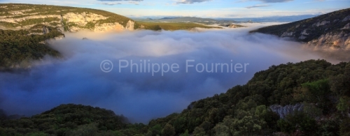 IMG_13059563_Ardeche (07) vallon pont d'arc reserve naturelle de