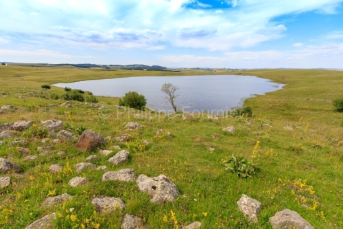 IMG_19076796_Lozère (48) Marchastel Monts d'Aubrac lac de Saint