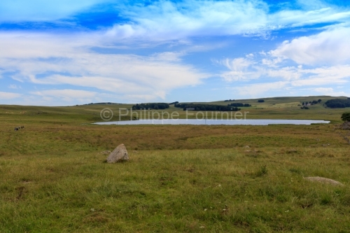 IMG_19076797_Lozère (48) Marchastel Monts d'Aubrac lac de Born
