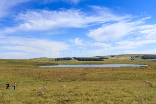 IMG_19076804_Lozère (48) Marchastel Monts d'Aubrac lac de Born