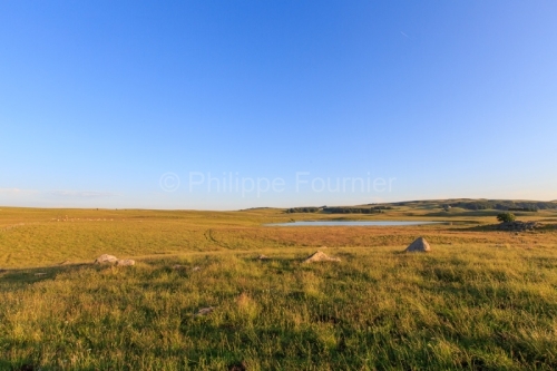 IMG_19077013_Lozère (48) Marchastel Monts d'Aubrac lac de Born