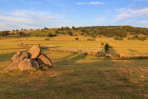 IMG_19077962_LOZèRE (48) MARCHASTEL MONTS D'AUBRAC CHAOS GRANIT