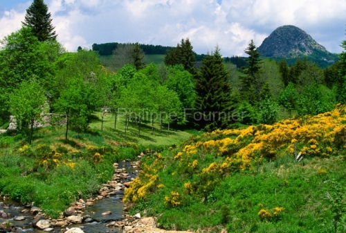 IMG_075171_Ardeche (07)  sainte eulalie (parc naturel regional d