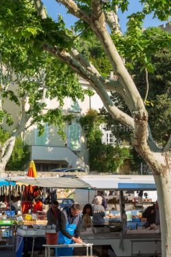 IMG_18050009_GARD (30)  VILLENEUVE LèS AVIGNON JOUR DE MARCHé