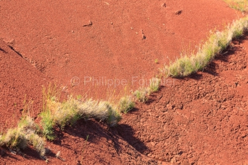 IMG_18067604_HERAULT (34)  LIAUSSON PAYSAGE LAC DU SALAGOU GéOL