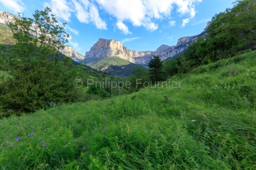 IMG_18068057_DRôME (26)  TRESCHENU CREYERS PAYSAGE DIOIS PARC N