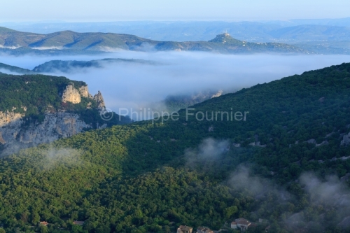IMG_18056515_Ardèche (07)  vallon pont d'arc réserve naturelle