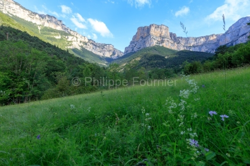 IMG_18068086_DRôME (26)  TRESCHENU CREYERS PAYSAGE DIOIS PARC N