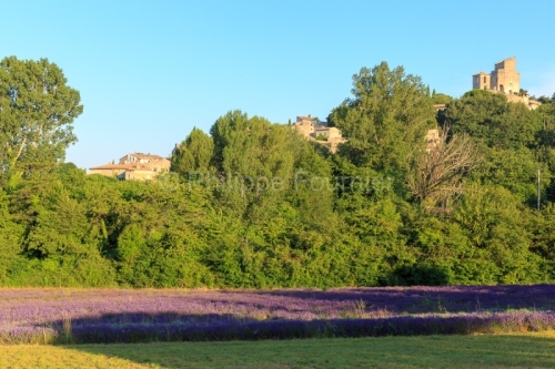 IMG_18071163_drome (26)  le poët laval paysage village perché