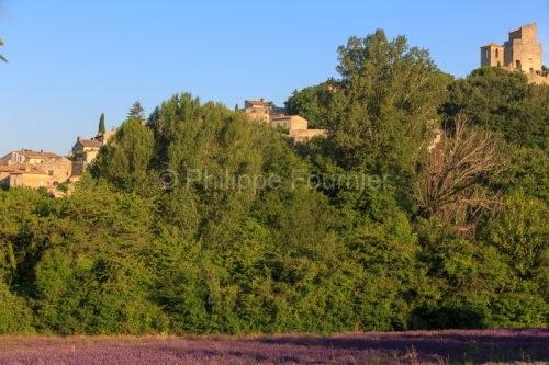 IMG_18071171_drome (26)  le poët laval village perché du xiiè