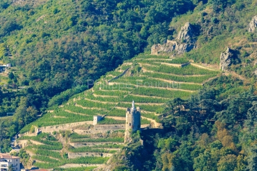 IMG_18093270_ARDECHE (07)  TOURNON SUR RHONE VUE sur le SENTIER