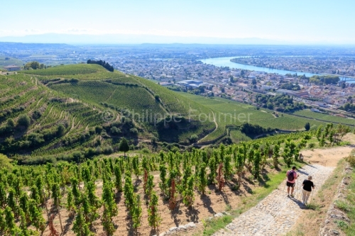 IMG_18093395_DROME (26)  TAIN L'HERMITAGE PAYSAGE VINS DES CôTE