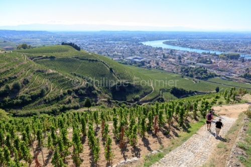 IMG_18093397_DROME (26)  TAIN L'HERMITAGE PAYSAGE VINS DES CôTE