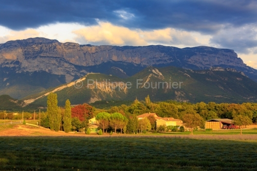 IMG_18094591_DROME (26)  DIE PARC NATUREL REGIONAL DU VERCORS PA