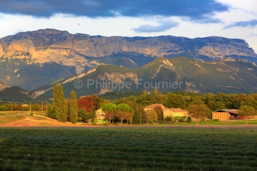 IMG_18094598_DROME (26)  DIE PARC NATUREL REGIONAL DU VERCORS PA