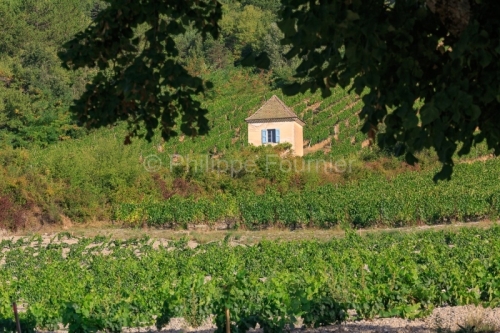 IMG_18094747_DROME (26)  CHATILLON EN DIOIS PARC NATUREL REGIONAL DU VERCORS CABANON DANS LES VIGNES AU SERRE DU POET