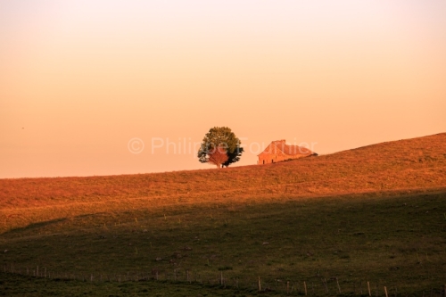 IMG_19076593_AVEYRON (12) SAINT CHéLY D'AUBRAC MONTS D'AUBRAC B