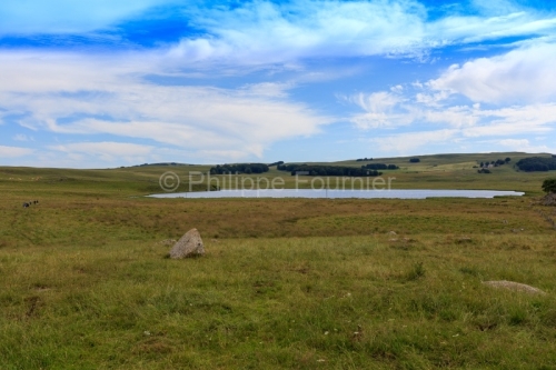 IMG_19076797_Lozère (48) Marchastel Monts d'Aubrac lac de Born