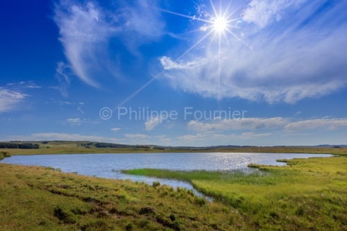 IMG_19076835_Lozère (48) Marchastel Monts d'Aubrac lac de Born