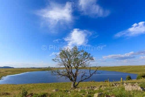 IMG_19076915_Lozère (48) Marchastel Monts d'Aubrac lac de Saint