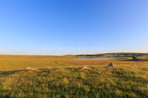 IMG_19077013_Lozère (48) Marchastel Monts d'Aubrac lac de Born