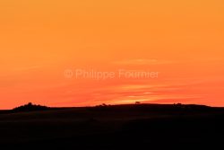 IMG_19077202_LOZèRE (48) NASBINALS MONTS D'AUBRAC COUCHER DE SO