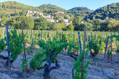 IMG_1909121308_Vaucluse (84) Gigondas Ville et Village le villag