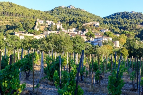 IMG_1909121364_Vaucluse (84) Gigondas Ville et Village le villag