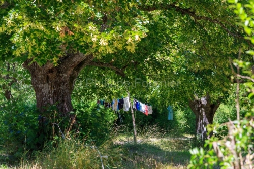 IMG_1907051480_Drôme (26)  Lachau Parc Naturel Régional des Ba